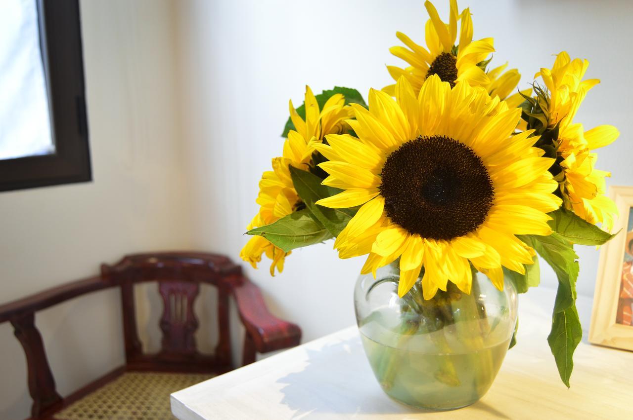 Casa Girasol Bed & Breakfast Antigua Dış mekan fotoğraf